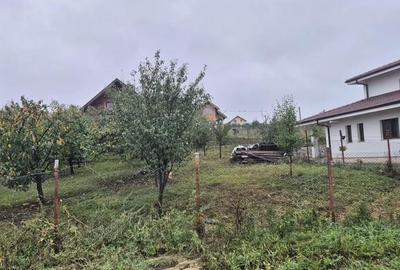 Teren de 1000 mp, în Câmpenești - 2
