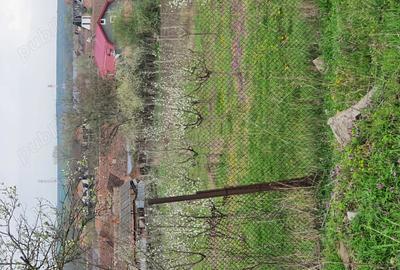 Spațiu comercial, în Central - 1