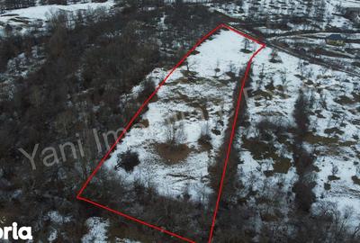 Teren de 4377 mp, în Bradu - 7