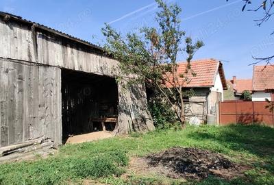 Casa gospodarie in Belint - 5