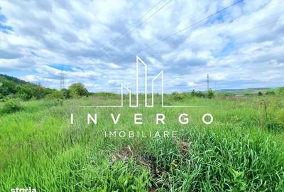 Teren de 2880 mp, în Gilău - 4