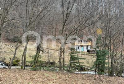 Teren Construcții extravilan de 1402 mp, în Blidari - 4