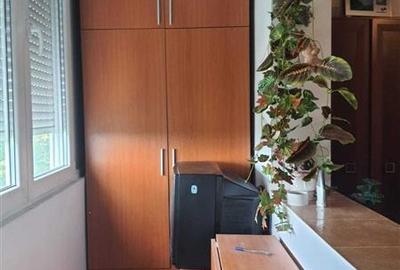 Apartament 1 camera Blascovici - 4