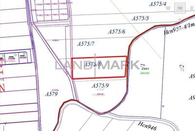 Teren de 7500 mp, în Săcălaz - 2