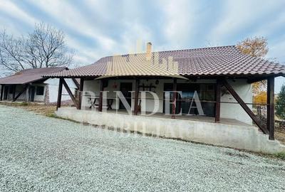 Oportunitate investitie: două reședințe de vacanță/ cabane 3940mp teren - 10