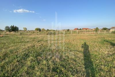 Teren intravilan 604 mp de vânzare – Șura Mică, Sibiu - 10