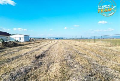 Teren Construcții intravilan de 2498 mp, în Chilieni - 12