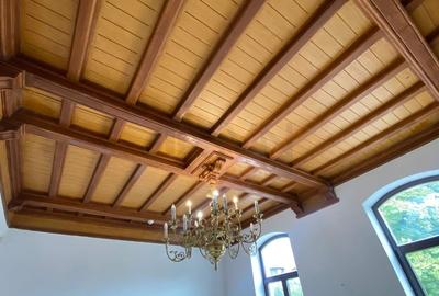 REV2005075 Imobil de Inchiriat Gradina Icoanei - 11