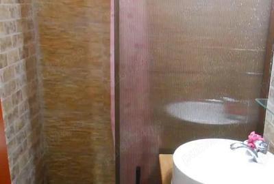 Apartament de inchiriat , 3 camere , Camil Ressu parter - 3