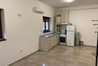 2 camere parter dumbravita investitie - 14