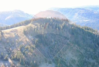 Teren 31,461mp Panaci / Prelungirea Ialovita - 1