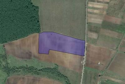 Spațiu comercial, în Mărtinești - 2