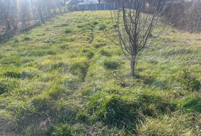 Teren Intravilan, zona linistita, Livada Meses - 1