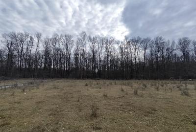 Teren Construcții intravilan de 950 mp, în Nord - 5