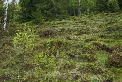 Spațiu comercial, în Măguri - 4