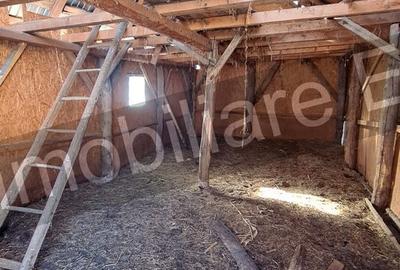 Casă cu 3 camere cu Teren 3877 Mp în Valea Danului - 12