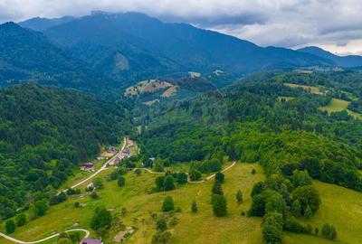 Teren Parcul National Bucegi/Str Glajarie Rau Mare/Panice... - 5