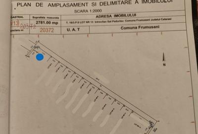 Teren de 985 mp, în Frumușani - 4