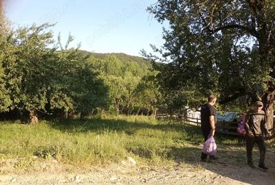 Teren de 864 mp, în Gurguiata - 5