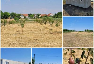 Casă cu Teren 3400 Mp în Checea - 10