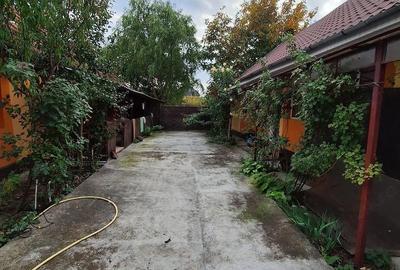 Casă în Șepreuș - 3