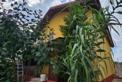 Casă cu 4 camere cu Teren 310 Mp în Central