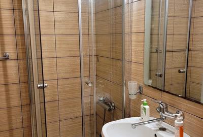 Apartament de inchiriat cu 2 camere, decomandat, et.1, TINERETULUI-PIATA NORILOR - 9