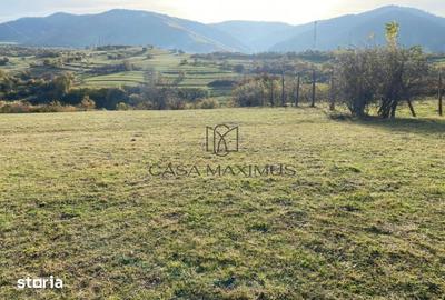 Teren de 972 mp, în Gura Râului - 5
