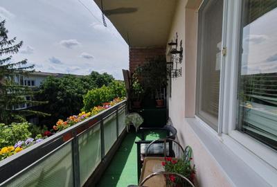 Apartament cu 4 camere decomandat în Micălaca - 10