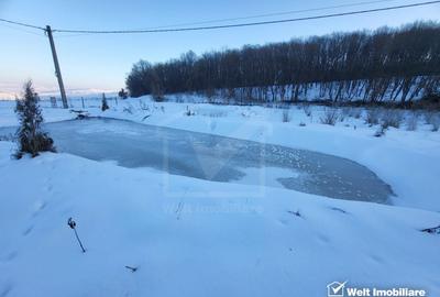 Teren intravilan de 78200 mp, în Frata - 9