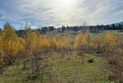 Teren in Cala?ele Padure 4488mp - 1