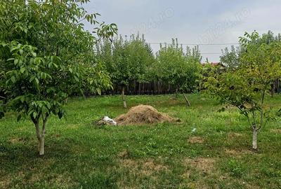 Vand Casa (P+E) ?i Teren sat Nisipoasa, com Plopu, jud. Prahova - DIRECT PROPRIETAR - 1