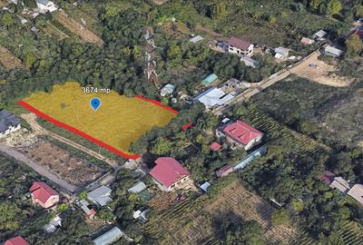 Teren Construcții intravilan de 3674 mp, în Vest - 2