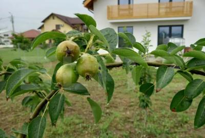 Casă cu 4 camere cu Teren 692 Mp în Central - 18