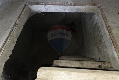 De vanzare casa taranesca Balusesti jud. Neamt - 22