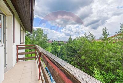 Teren si casa cu 6 camere in Saftica Ilfov - investitie - 13