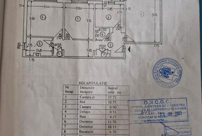 Apartament cu 3 camere decomandat în Popa Șapcă - 4
