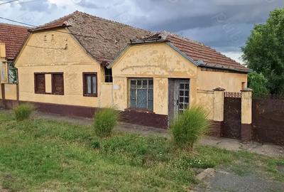 Vand casa ?i spa?iu comercial in Comuna Vinga - 2