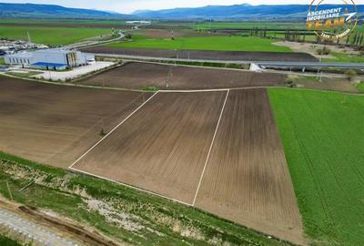 FILM! Teren intravilan cu potential ridicat - zona Sepsi Arena, Arcus, Covasna - 2