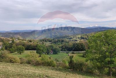 Teren Construcții intravilan de 1500 mp, în Damiș - 14