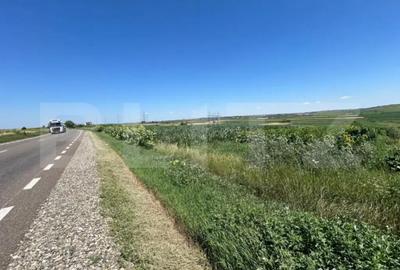 Teren de 5000 mp, în Central