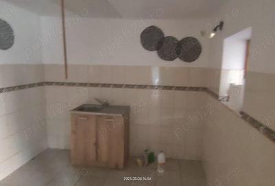 Casa Sagului -Rebreanu de vanzare - 4