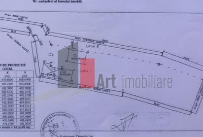 Casă cu 3 camere cu Teren 1614 Mp în Manolache - 9