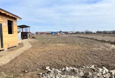 Casă cu 5 camere cu Teren 3100 Mp în Măneuți - 14