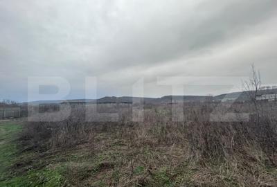 Teren extravilan de vanzare, 10.000 mp - Turcinesti - 1