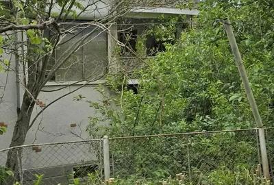 Vila cu etaj in Caransebe?, zona Teiu?, langa Gugulanu. - 1