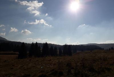 Teren cu Potential Turistic Major in Poiana Brasov - 4