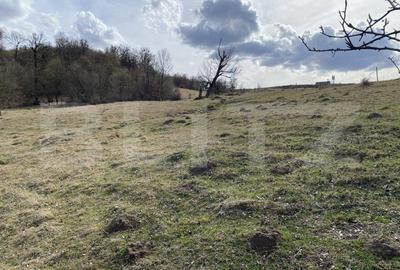 Teren extravilan in suprafata de 7500 mp la poalele Mesesului - 1