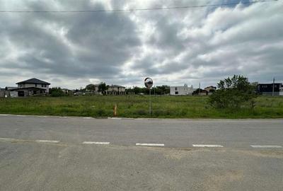 Teren Construcții intravilan de 8877 mp, în Odăi - 11