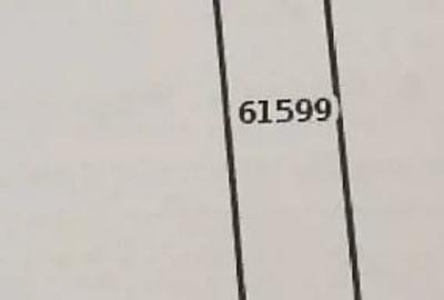 Teren de 4888 mp, în Grajduri - 1
